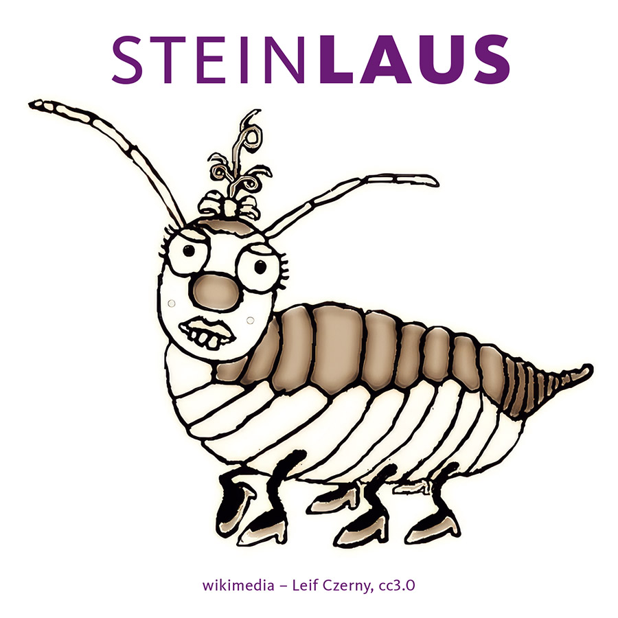Steinlaus