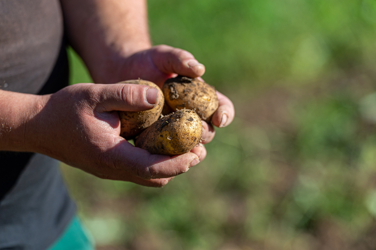 Bis man im Obst- und Gemüseanbau die Früchte seiner Arbeit in den Händen hält, ist es ein langer und manchmal auch beschwerlicher Weg – das Gefühl dabei ist unbezahlbar. Bis man im Obst- und Gemüseanbau die Früchte seiner Arbeit in den Händen hält, ist es ein langer und manchmal auch beschwerlicher Weg – das Gefühl dabei ist unbezahlbar.