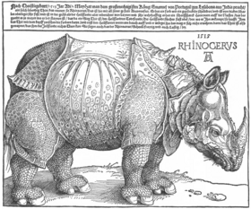 Albrecht Dürer – Ein Uomo Universale Albrecht Dürer – Ein Uomo Universale