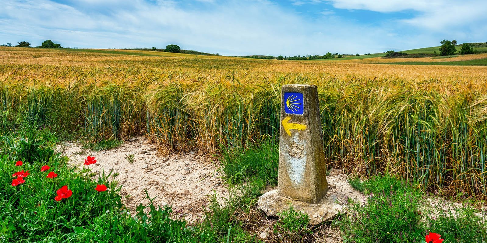 Verweis auf den Jakobsweg am Wegrand vor einem Getreidefeld