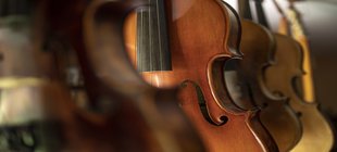 Bildausschnitt von Streichinstrumenten