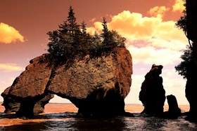 Kanada – 24.311 km – 64 Elchsichtungen – 49 Grizzlies & 16 Eisbären Kanada – 24.311 km – 64 Elchsichtungen – 49 Grizzlies & 16 Eisbären