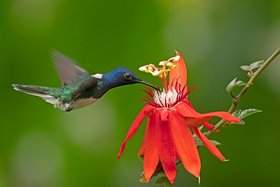 Zwischen Raum und Zeit – Naturfotografie auf drei Kontinenten 