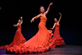 Flamenco