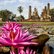 Seerosenteich mit einer Buddhastatue