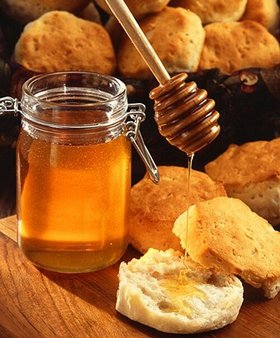 Das Gold aus dem Bienenstock: Faszinierendes über Honig