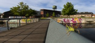 Stadt mit Heuschrecke im Vordergrund