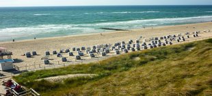 Blick auf einen Strand mit Strandkörben und Dünenausläufern