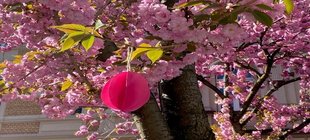Gebasteltes Osterei mit Kirschblüten im Hintergrund