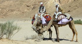 Licht aus dem Orient – Vertrau auf Gott, aber binde dein Kamel an