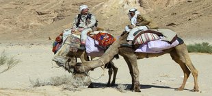 Zwei Männer sitzend auf Kamelen im Orient 