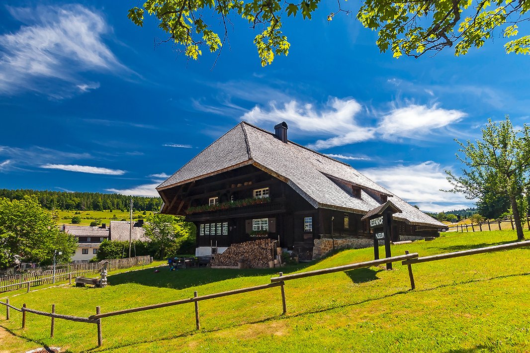 Der Schwarzwald mit seinen vielen Ausflugszielen liegt direkt vor der Tür.