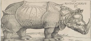 Nashorn 