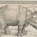 Nashorn 