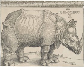 Nashorn 