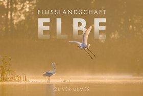 Flusslandschaft Elbe 