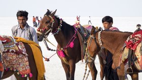 Keine Angst vor Indien, Teil 2 -   20.000 km in 6 Monaten 
