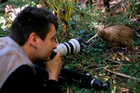 Fotograf und Kiwi Fotograf und Kiwi
