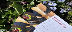 Gutscheine und grüner Hintergrund