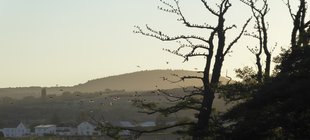 nebelige Hügellandschaft