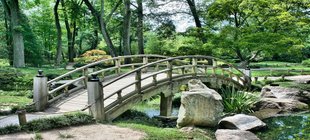 Sommerliche Bäume mit einem Bachlauf über den eine Holzbrücke führt