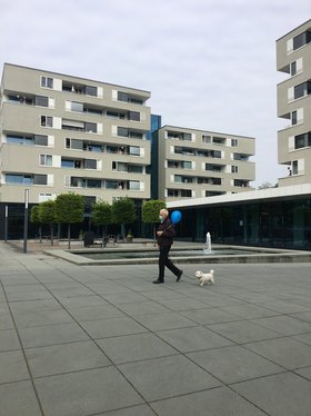 Gute Wünsche in den Himmel Gute Wünsche in den Himmel