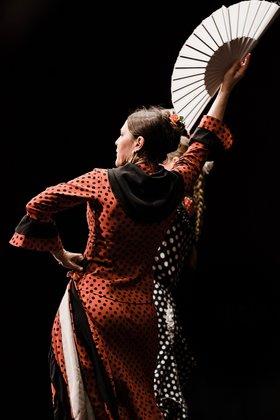 Flamenco del Sur 