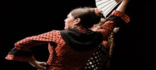 Flamencotänzerin