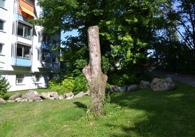 München-Neufriedenheim: Neues Zuhause auch für Vögel und Fledermäuse München-Neufriedenheim: Neues Zuhause auch für Vögel und Fledermäuse
