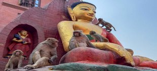 Swajambunath-Tempel-Kathmandu