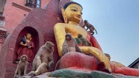Swajambunath-Tempel-Kathmandu