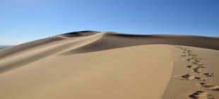 Eine Düne in der Wüste
