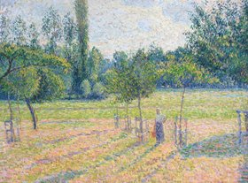 Frau auf Feld mit Waldhintergrund