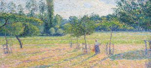 Frau auf Feld mit Waldhintergrund