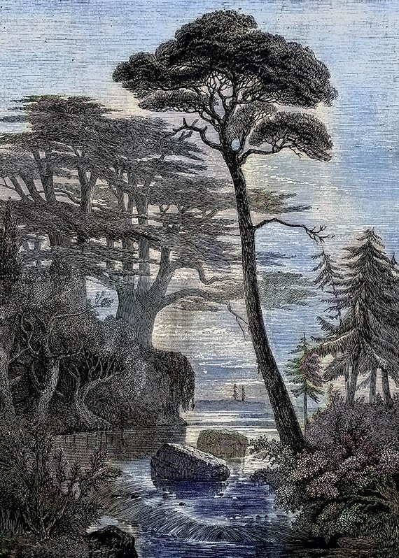 Biblische Oase, Illustration nach Jesaja 41, 17-20