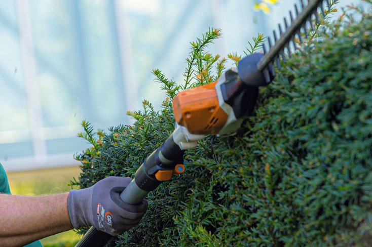 Ein Klient der Augustinum Gärtnerei Hollern schneidet mit einer akkubetriebenen Teleskopheckenschere die Hecke