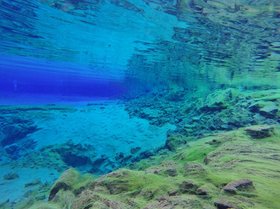 Unterwasseraufnahme in klarem Wasser mit Seegras in klarem Wasser