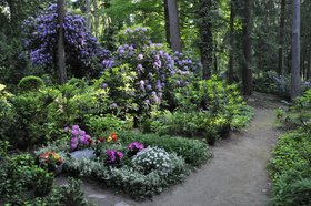 Rundgang auf dem Waldfriedhof Aumühle-Wohltorf 