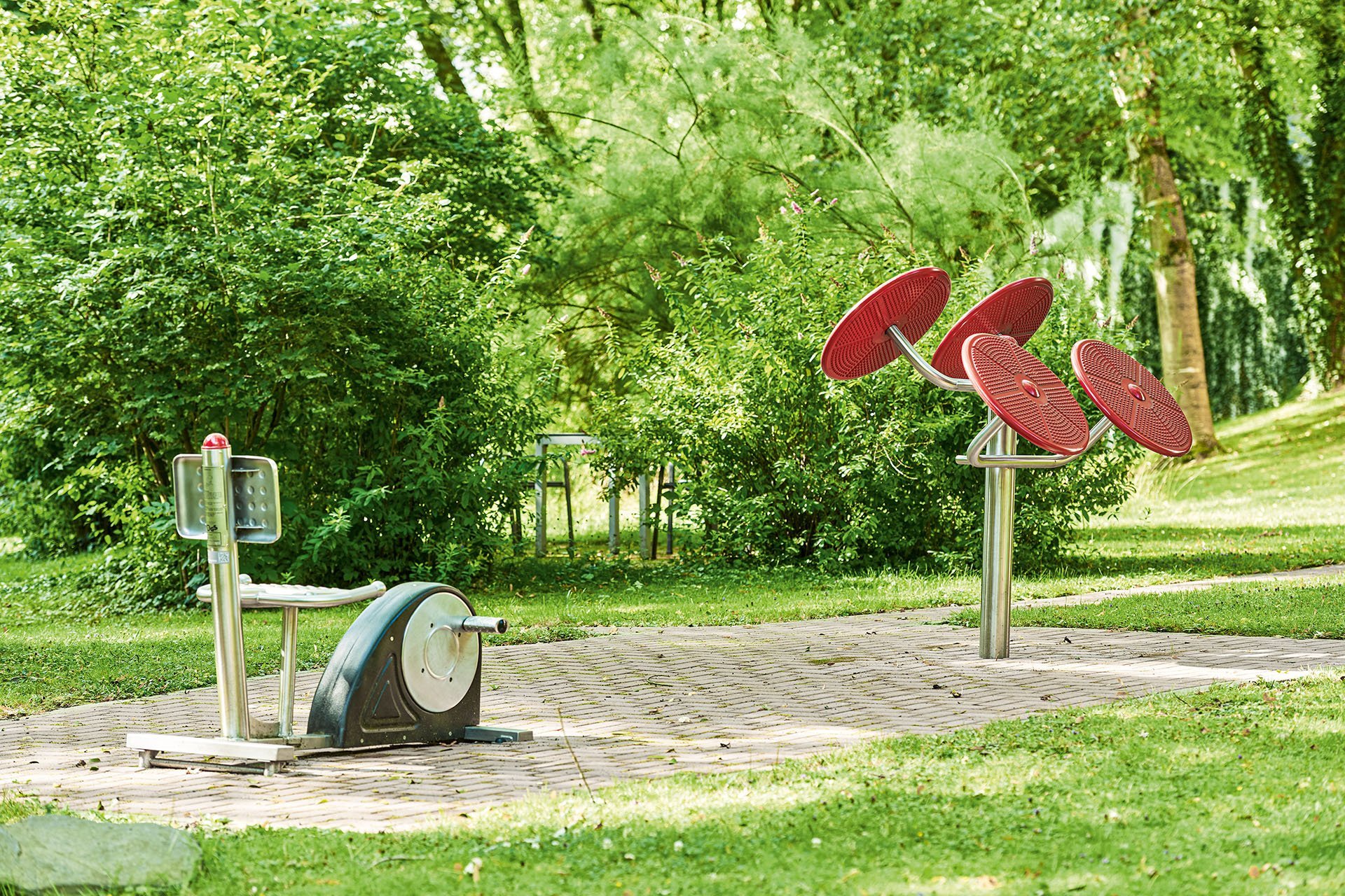 Fitnessgeräte umgeben von Grünflächen in einem Park