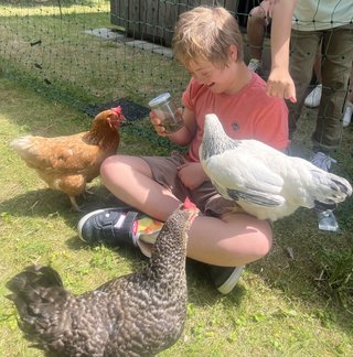 Da lachen alle Hühner