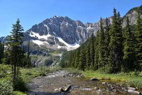 Zwei Sommer in den Rockies Zwei Sommer in den Rockies