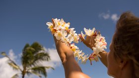 Blumenkranz vor blauem Himmel