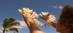 Blumenkranz vor blauem Himmel