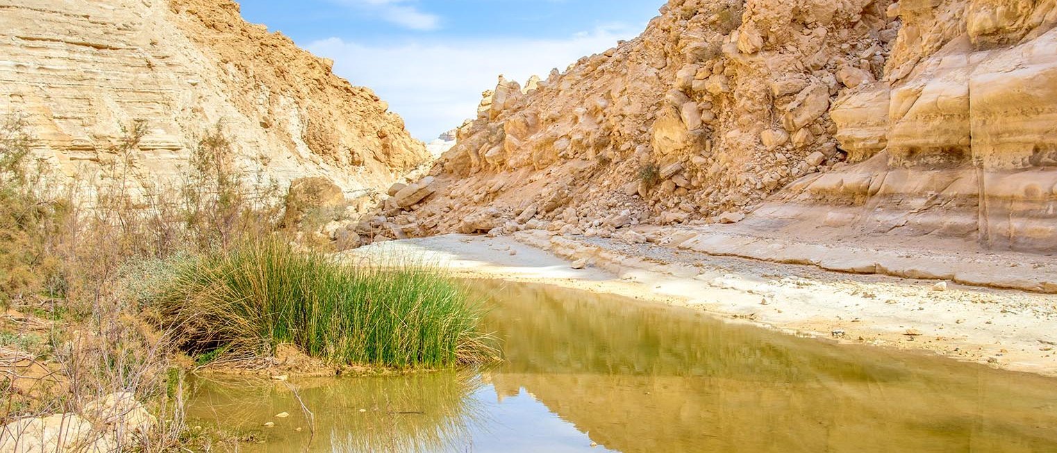 kleine Oase in der Wüste Negev, Israel
