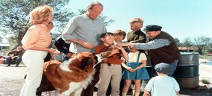 Familie mit vielen Kindern und zwei Tieren