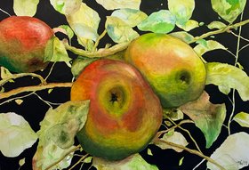 Die Streuobstwiese – Ein Paradies Die Streuobstwiese – Ein Paradies