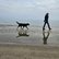 Referentin  mit Hund am Stand laufend