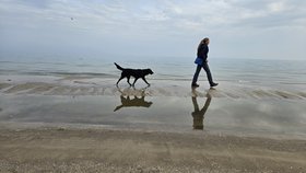 Referentin  mit Hund am Stand laufend