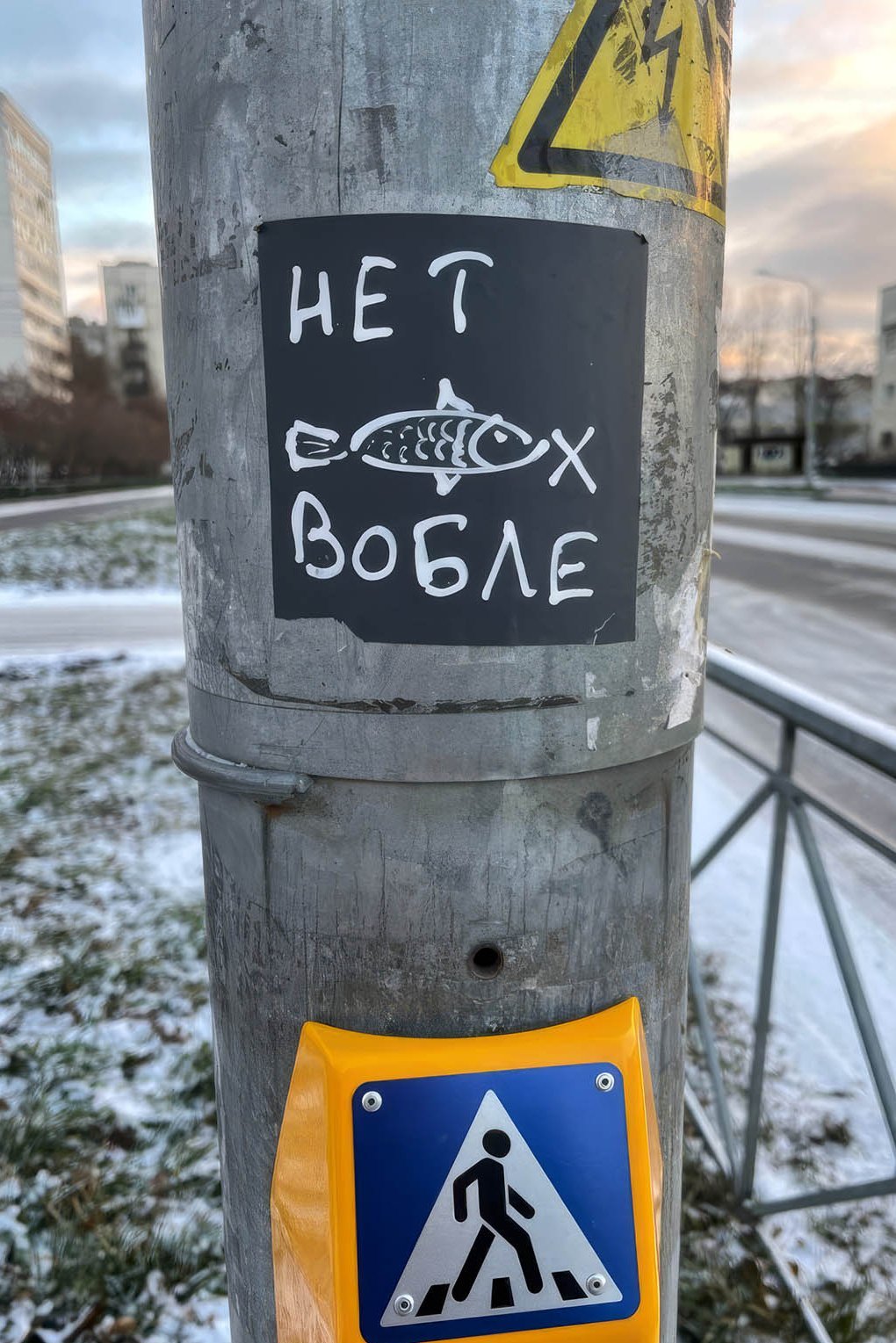 "Nein zum Karpfen" – Antikriegsaktion in Russland