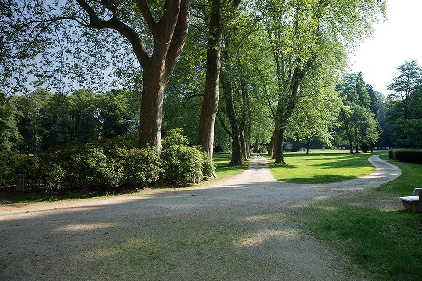 Parkanlage mit alten Bäumen, Rasen und Spazierwegen